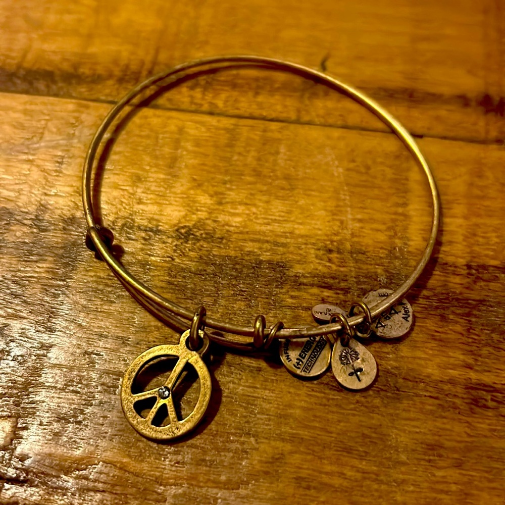 Alex and Ani bracelet